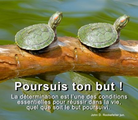 bienfaits-technique-nadeau Poursuis ton but !
